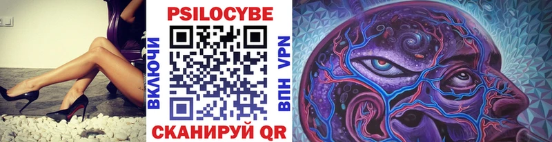 где найти   Чкаловск  Псилоцибиновые грибы Magic Shrooms 